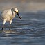 thumbs/IMG_1620.jpg